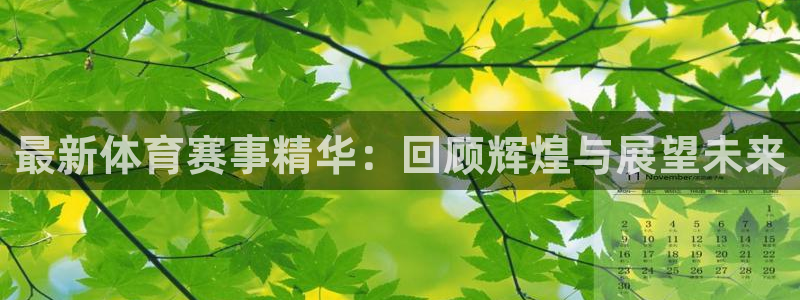 最新体育赛事精华：回顾辉煌与展望未来